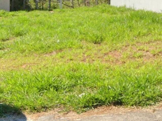 Terreno para Venda em Indaiatuba - 3