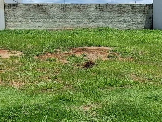 #TE02127 - Terreno em condomínio para Venda em Indaiatuba - SP