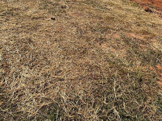 Terreno para Venda em Indaiatuba - 3