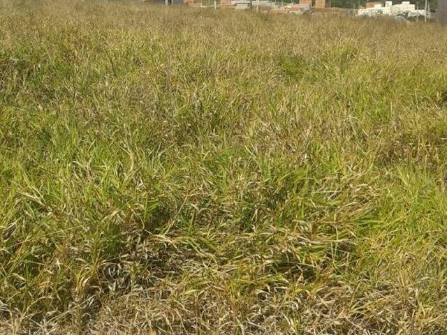 Terreno para Venda em Indaiatuba - 5